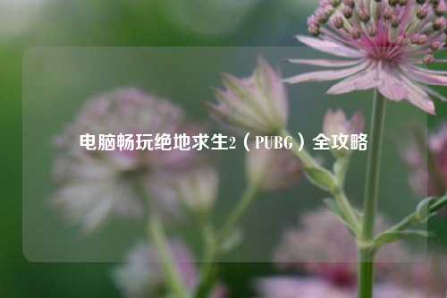 电脑畅玩绝地求生2（PUBG）全攻略