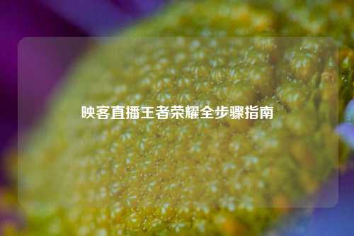 映客直播王者荣耀全步骤指南