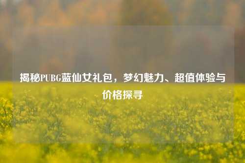 揭秘PUBG蓝仙女礼包，梦幻魅力、超值体验与价格探寻