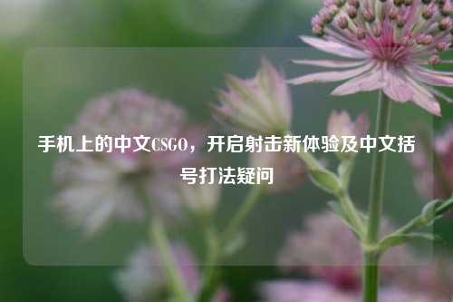 手机上的中文CSGO，开启射击新体验及中文括号打法疑问