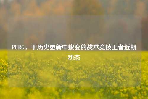 PUBG，于历史更新中蜕变的战术竞技王者近期动态