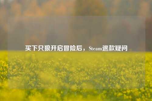 买下只狼开启冒险后，Steam退款疑问