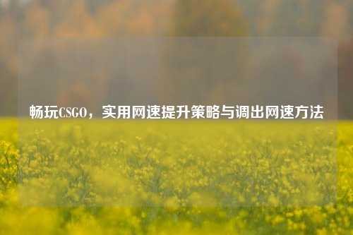 畅玩CSGO，实用网速提升策略与调出网速方法