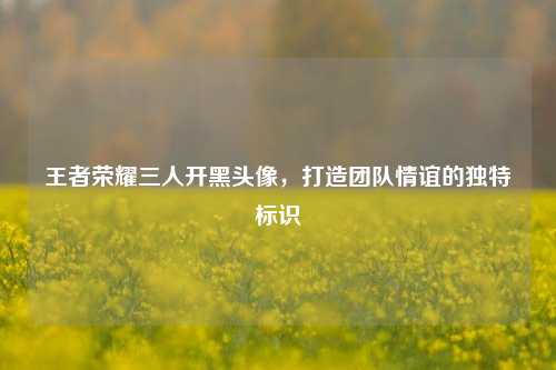 王者荣耀三人开黑头像，打造团队情谊的独特标识