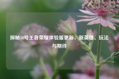 探秘18号王者荣耀体验服更新，新英雄、玩法与期待