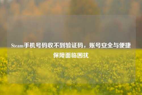 Steam手机号码收不到验证码，账号安全与便捷保障面临困扰