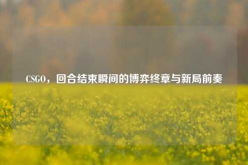 CSGO，回合结束瞬间的博弈终章与新局前奏