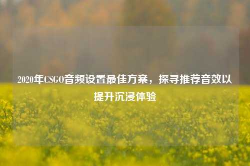 2020年CSGO音频设置最佳方案，探寻推荐音效以提升沉浸体验