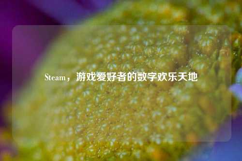 Steam，游戏爱好者的数字欢乐天地