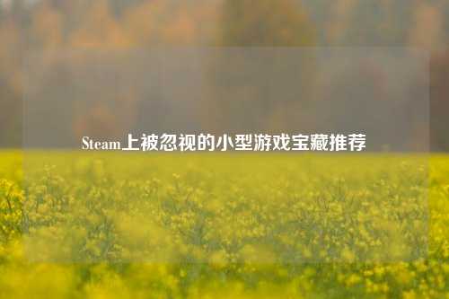 Steam上被忽视的小型游戏宝藏推荐