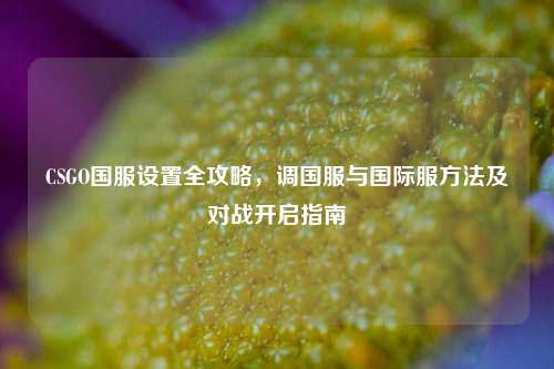 CSGO国服设置全攻略，调国服与国际服方法及对战开启指南