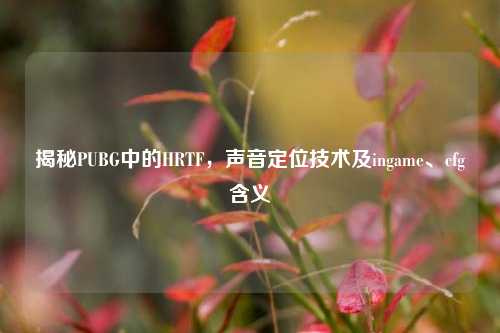 揭秘PUBG中的HRTF，声音定位技术及ingame、cfg含义