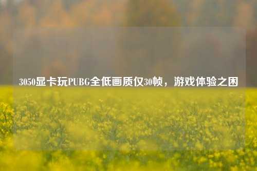 3050显卡玩PUBG全低画质仅30帧，游戏体验之困