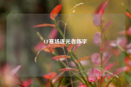 CF赛场逐光者陈宇