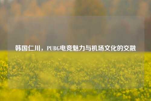 韩国仁川，PUBG电竞魅力与机场文化的交融