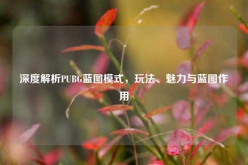 深度解析PUBG蓝图模式，玩法、魅力与蓝图作用