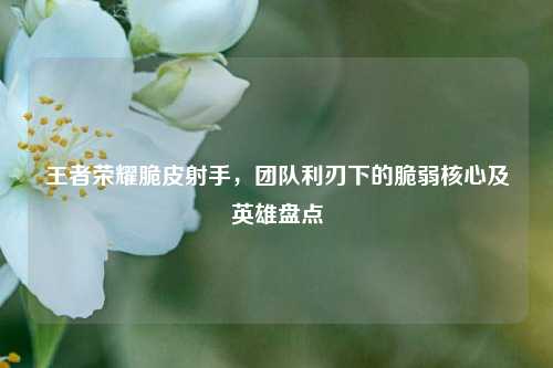 王者荣耀脆皮射手，团队利刃下的脆弱核心及英雄盘点