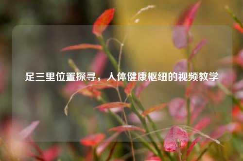 足三里位置探寻，人体健康枢纽的视频教学
