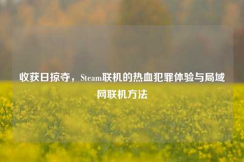 收获日掠夺，Steam联机的热血犯罪体验与局域网联机方法