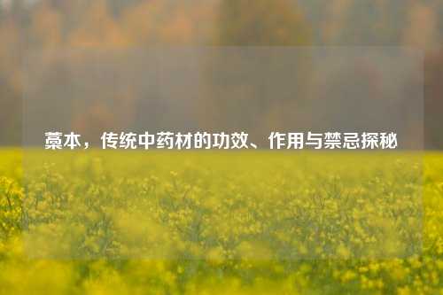 藁本，传统中药材的功效、作用与禁忌探秘
