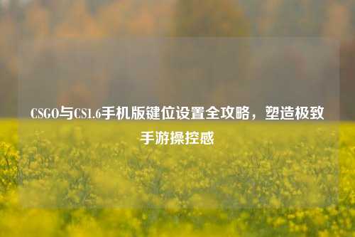 CSGO与CS1.6手机版键位设置全攻略，塑造极致手游操控感