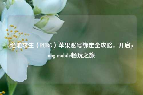 绝地求生（PUBG）苹果账号绑定全攻略，开启pubg mobile畅玩之旅