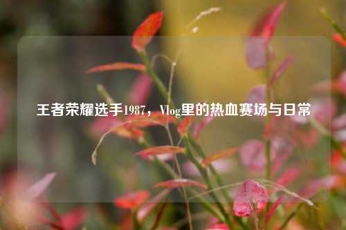 王者荣耀选手1987，Vlog里的热血赛场与日常