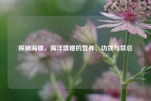 探秘海螺，海洋馈赠的营养、功效与禁忌