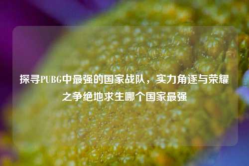 探寻PUBG中最强的国家战队，实力角逐与荣耀之争绝地求生哪个国家最强