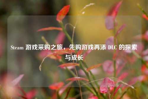 Steam 游戏采购之旅，先购游戏再添 DLC 的探索与成长