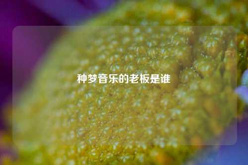 种梦音乐的老板是谁
