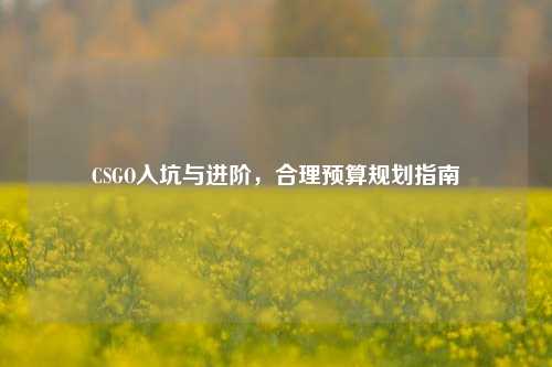 CSGO入坑与进阶，合理预算规划指南