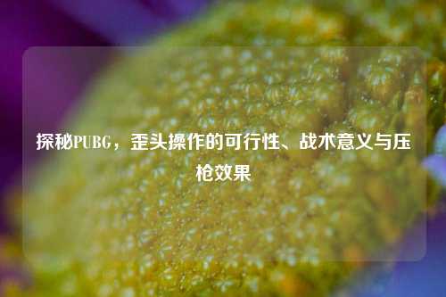 探秘PUBG，歪头操作的可行性、战术意义与压枪效果