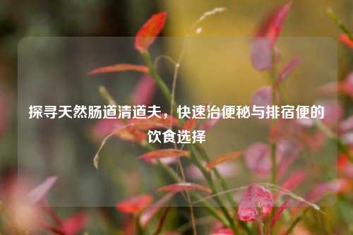 探寻天然肠道清道夫，快速治便秘与排宿便的饮食选择