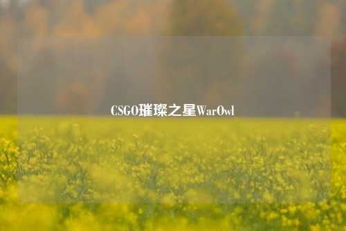 CSGO璀璨之星WarOwl