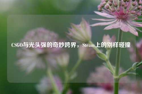 CSGO与光头强的奇妙跨界，Steam上的别样碰撞
