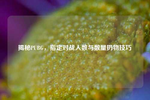揭秘PUBG，指定对战人数与数量扔物技巧