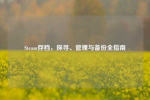 Steam存档，探寻、管理与备份全指南