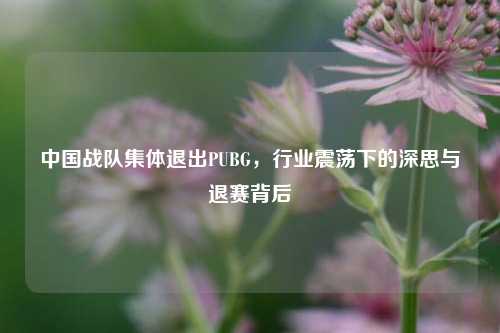 中国战队集体退出PUBG，行业震荡下的深思与退赛背后