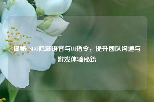 揭秘CSGO隐藏语音与UI指令，提升团队沟通与游戏体验秘籍
