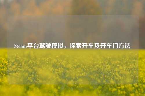 Steam平台驾驶模拟，探索开车及开车门方法