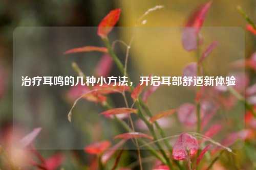 治疗耳鸣的几种小方法，开启耳部舒适新体验