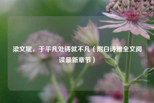 梁文斌，于平凡处铸就不凡（附白诗雅全文阅读最新章节）