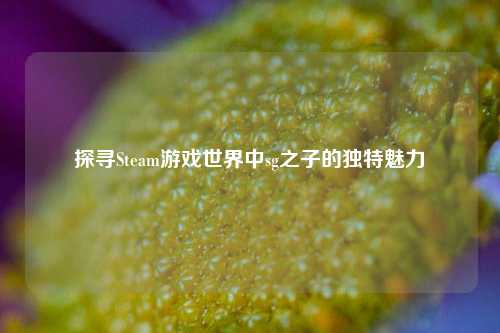 探寻Steam游戏世界中sg之子的独特魅力