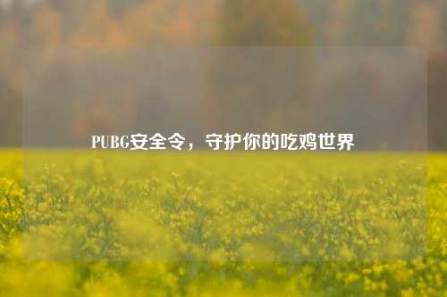 PUBG安全令，守护你的吃鸡世界