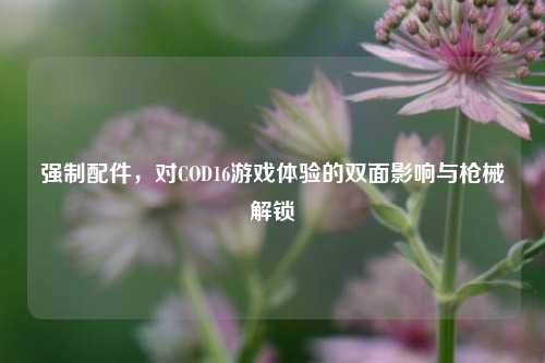 强制配件，对COD16游戏体验的双面影响与枪械解锁