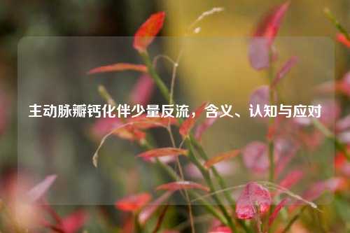主动脉瓣钙化伴少量反流，含义、认知与应对