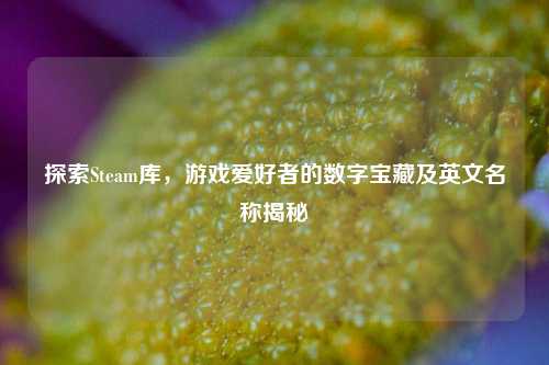 探索Steam库，游戏爱好者的数字宝藏及英文名称揭秘