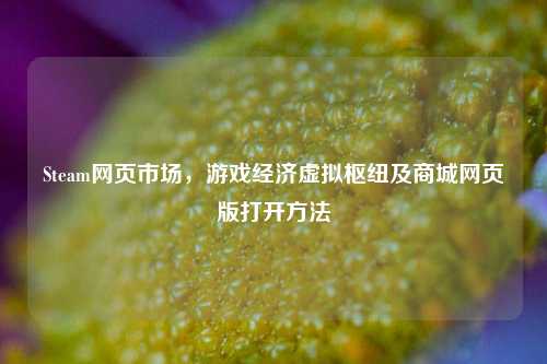 Steam网页市场，游戏经济虚拟枢纽及商城网页版打开方法