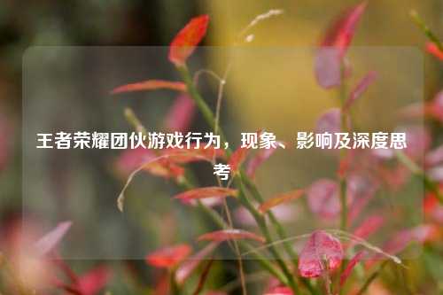 王者荣耀团伙游戏行为，现象、影响及深度思考
